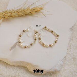 BTAI.253A