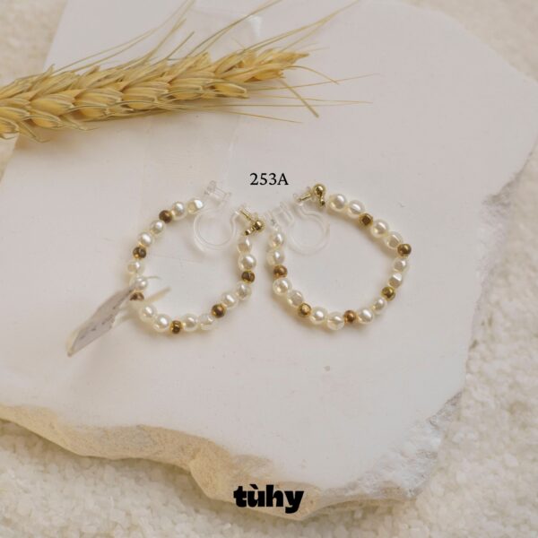 BTAI.253A