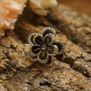 NHAN.2507A