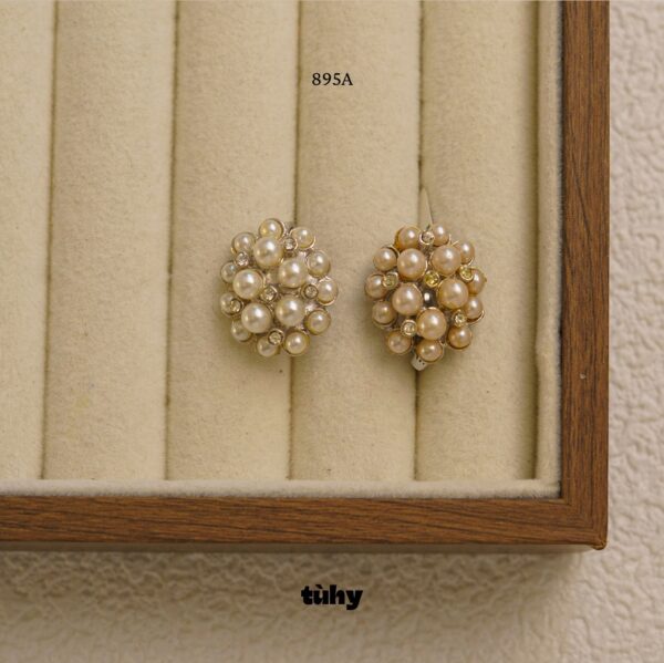 BTAI.895A