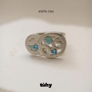 NHAN.4307A